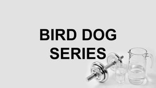 BIRD DOG
SERIES
 