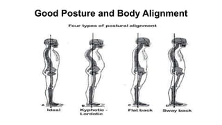 Good Posture and Body Alignment
 