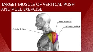 TARGET MUSCLE OF VERTICAL PUSH
AND PULL EXERCISE
 