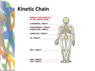 Kinetic Chain
 