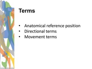 Terms
• Anatomical reference position
• Directional terms
• Movement terms
 