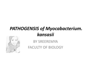 PATHOGENSIS of Myocabacterium.
kansasii
BY SREEREMYA
FACULTY OF BIOLOGY
 