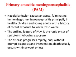 Pam Infection Pathgenic free living amoeba | PPTX