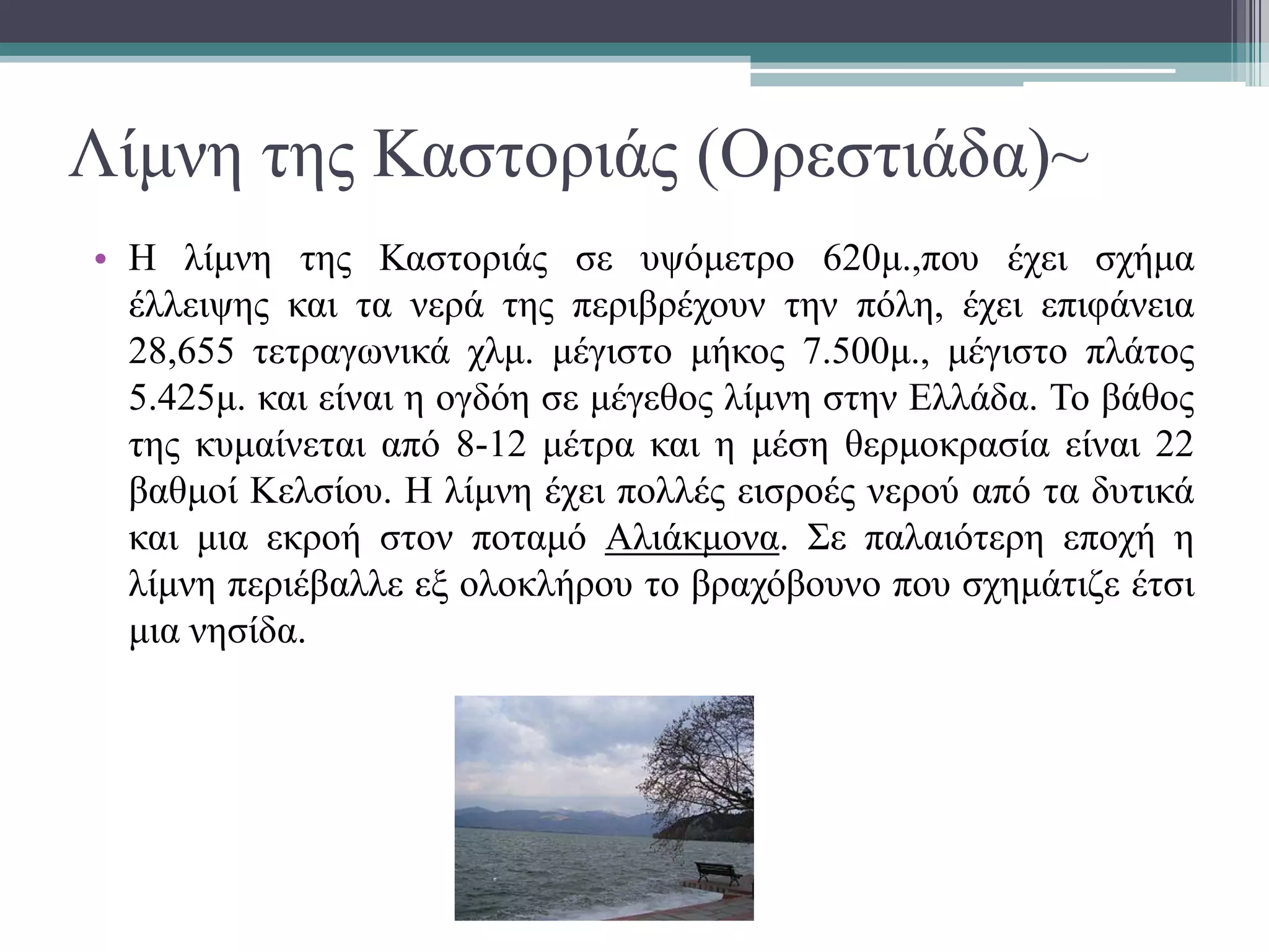Λίμνη της Καστοριάς (Ορεστιάδα)~
• Η λίμνη της Καστοριάς σε υψόμετρο 620μ.,που έχει σχήμα
έλλειψης και τα νερά της περιβρέχουν την πόλη, έχει επιφάνεια
28,655 τετραγωνικά χλμ. μέγιστο μήκος 7.500μ., μέγιστο πλάτος
5.425μ. και είναι η ογδόη σε μέγεθος λίμνη στην Ελλάδα. Το βάθος
της κυμαίνεται από 8-12 μέτρα και η μέση θερμοκρασία είναι 22
βαθμοί Κελσίου. Η λίμνη έχει πολλές εισροές νερού από τα δυτικά
και μια εκροή στον ποταμό Αλιάκμονα. Σε παλαιότερη εποχή η
λίμνη περιέβαλλε εξ ολοκλήρου το βραχόβουνο που σχημάτιζε έτσι
μια νησίδα.
 
