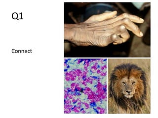 Pathology Quiz Mains | PPTX