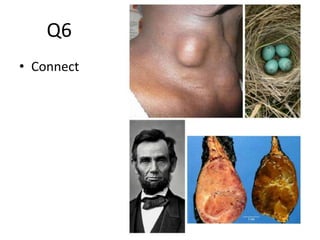 Pathology Quiz Mains | PPTX