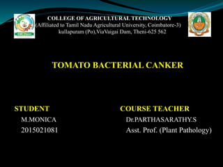 COLLEGE OF AGRICULTURAL TECHNOLOGY
( (Affiliated to Tamil Nadu Agricultural University, Coimbatore-3)
kullapuram (Po),ViaVaigai Dam, Theni-625 562
TOMATO BACTERIAL CANKER
STUDENT COURSE TEACHER
M.MONICA Dr.PARTHASARATHY.S
2015021081 Asst. Prof. (Plant Pathology)
 