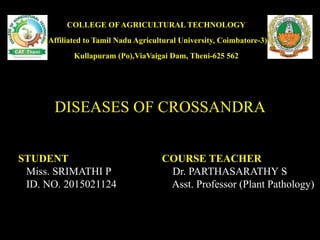 DISEASES OF CROSSANDRA
COURSE TEACHER
Dr. PARTHASARATHY S
Asst. Professor (Plant Pathology)
STUDENT
Miss. SRIMATHI P
ID. NO. 2015021124
COLLEGE OF AGRICULTURAL TECHNOLOGY
(Affiliated to Tamil Nadu Agricultural University, Coimbatore-3)
Kullapuram (Po),ViaVaigai Dam, Theni-625 562
 