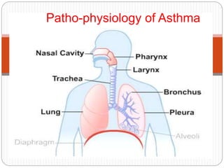 Patho-physiology of Asthma
 