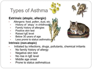 Types of Asthma
Extrinsic (atopic, allergic)
• Allergens: food, pollen, dust, etc.
• History of `atopy` in childhood
• Family history of allergies
• Positive skin test
• Raised IgE level
• Below 30 years of age
• Less prone to status asthmaticus
Intrinsic (non-atopic)
• Initiated by infections, drugs, pollutants, chemical irritants
• No family history of allergy
• Negative skin test
• No rise in IgE level
• Middle age onset
• Prone to status asthmaticus
 