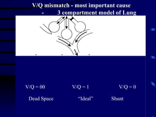 Patho Physiology Of Respiratory Failure | PPT