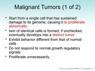 Malignant Tumors (1 of 2)
• Start from a single cell that has sustained
damage to its genome, causing it to proliferate
abnormally
• twin of identical cells is formed; if unchecked,
eventually develops into a distinct tumor
• Exhibit behavior different from that of normal
cells
• Do not respond to normal growth regulatory
signals
• Proliferate unnecessarily
 