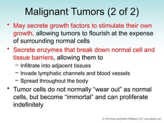 Malignant Tumors (2 of 2)
• May secrete growth factors to stimulate their own
growth, allowing tumors to flourish at the expense
of surrounding normal cells
• Secrete enzymes that break down normal cell and
tissue barriers, allowing them to
– Infiltrate into adjacent tissues
– Invade lymphatic channels and blood vessels
– Spread throughout the body
• Tumor cells do not normally “wear out” as normal
cells, but become “immortal” and can proliferate
indefinitely
 