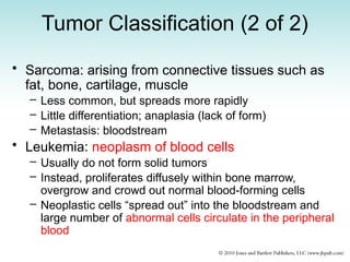 Tumor Classification (2 of 2)
• Sarcoma: arising from connective tissues such as
fat, bone, cartilage, muscle
– Less common, but spreads more rapidly
– Little differentiation; anaplasia (lack of form)
– Metastasis: bloodstream
• Leukemia: neoplasm of blood cells
– Usually do not form solid tumors
– Instead, proliferates diffusely within bone marrow,
overgrow and crowd out normal blood-forming cells
– Neoplastic cells “spread out” into the bloodstream and
large number of abnormal cells circulate in the peripheral
blood
 