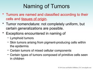 Naming of Tumors
• Tumors are named and classified according to their
cells and tissues of origin.
• Tumor nomenclature: not completely uniform, but
certain generalizations are possible.
• Exceptions encountered in naming of
– Lymphoid tumors
– Skin tumors arising from pigment-producing cells within
the epidermis
– Certain tumors of mixed cellular components
– Certain types of tumors composed of primitive cells seen
in children
 