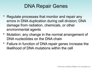 DNA Repair Genes
• Regulate processes that monitor and repair any
errors in DNA duplication during cell division; DNA
damage from radiation, chemicals, or other
environmental agents
• Mutation: any change in the normal arrangement of
DNA nucleotides on the DNA chain
• Failure in function of DNA repair genes increase the
likelihood of DNA mutations within the cell
 