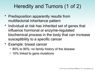 Heredity and Tumors (1 of 2)
• Predisposition apparently results from
multifactorial inheritance pattern
• Individual at risk has inherited set of genes that
influence hormonal or enzyme-regulated
biochemical process in the body that can increase
susceptibility to a specific cancer
• Example: breast cancer
– 80% to 90%: no family history of the disease
– 10% linked to gene mutations
 