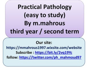 Practical Pathology
(easy to study)
By m.mahrous
third year / second term
Our site:
https://mmahrous1997.wixsite.com/website
Subscribe : https://bit.ly/2vq19Yc
follow: https://twitter.com/ph_mahmoud97
 