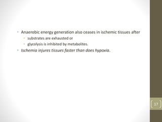 • Anaerobic energy generation also ceases in ischemic tissues after
• substrates are exhausted or
• glycolysis is inhibited by metabolites.
• Ischemia injures tissues faster than does hypoxia.
17
 