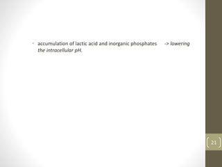 • accumulation of lactic acid and inorganic phosphates -> lowering
the intracellular pH.
21
 