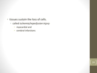 • tissues sustain the loss of cells.
• called ischemia/reperfusion injury
• myocardial and
• cerebral infarctions
24
 