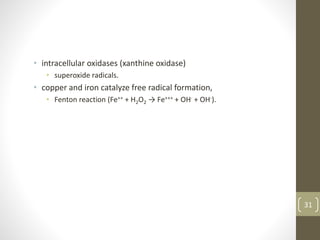• intracellular oxidases (xanthine oxidase)
• superoxide radicals.
• copper and iron catalyze free radical formation,
• Fenton reaction (Fe++ + H2O2 → Fe+++ + OH· + OH-).
31
 
