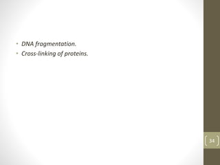 • DNA fragmentation.
• Cross-linking of proteins.
34
 
