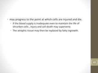 • may progress to the point at which cells are injured and die.
• If the blood supply is inadequate even to maintain the life of
shrunken cells , injury and cell death may supervene.
• The atrophic tissue may then be replaced by fatty ingrowth.
43
 
