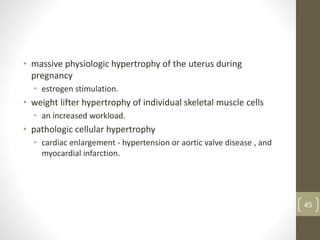 • massive physiologic hypertrophy of the uterus during
pregnancy
• estrogen stimulation.
• weight lifter hypertrophy of individual skeletal muscle cells
• an increased workload.
• pathologic cellular hypertrophy
• cardiac enlargement - hypertension or aortic valve disease , and
myocardial infarction.
45
 