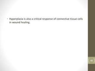 • Hyperplasia is also a critical response of connective tissue cells
in wound healing.
48
 