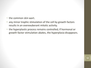 • the common skin wart.
• any minor trophic stimulation of the cell by growth factors
results in an overexuberant mitotic activity.
• the hyperplastic process remains controlled; if hormonal or
growth factor stimulation abates, the hyperplasia disappears.
50
 