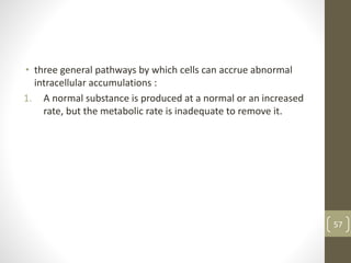 • three general pathways by which cells can accrue abnormal
intracellular accumulations :
1. A normal substance is produced at a normal or an increased
rate, but the metabolic rate is inadequate to remove it.
57
 