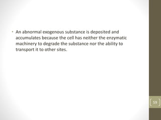 • An abnormal exogenous substance is deposited and
accumulates because the cell has neither the enzymatic
machinery to degrade the substance nor the ability to
transport it to other sites.
59
 
