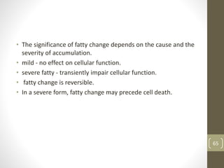 • The significance of fatty change depends on the cause and the
severity of accumulation.
• mild - no effect on cellular function.
• severe fatty - transiently impair cellular function.
• fatty change is reversible.
• In a severe form, fatty change may precede cell death.
65
 