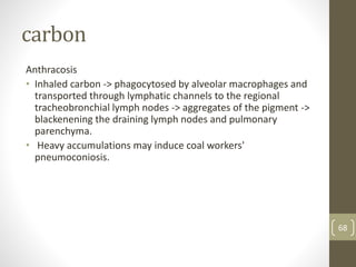 carbon
Anthracosis
• Inhaled carbon -> phagocytosed by alveolar macrophages and
transported through lymphatic channels to the regional
tracheobronchial lymph nodes -> aggregates of the pigment ->
blackenening the draining lymph nodes and pulmonary
parenchyma.
• Heavy accumulations may induce coal workers'
pneumoconiosis.
68
 