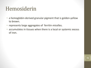 Hemosiderin
• a hemoglobin-derived granular pigment that is golden-yellow
to brown.
• represents large aggregates of ferritin micelles.
• accumulates in tissues when there is a local or systemic excess
of iron.
70
 