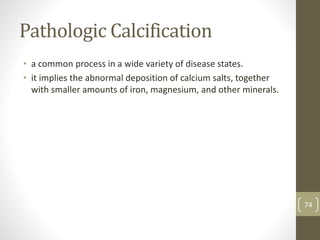 Pathologic Calcification
• a common process in a wide variety of disease states.
• it implies the abnormal deposition of calcium salts, together
with smaller amounts of iron, magnesium, and other minerals.
74
 