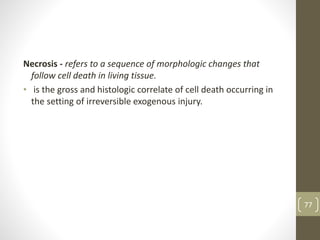 Necrosis - refers to a sequence of morphologic changes that
follow cell death in living tissue.
• is the gross and histologic correlate of cell death occurring in
the setting of irreversible exogenous injury.
77
 