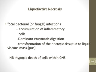LiquefactiveNecrosis
• focal bacterial (or fungal) infections
– accumulation of inflammatory
cells
-Dominant enzymatic digestion
-transformation of the necrotic tissue in to liquid
viscous mass (pus)
NB :hypoxic death of cells within CNS
80
 