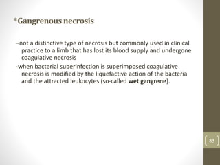 *Gangrenousnecrosis
–not a distinctive type of necrosis but commonly used in clinical
practice to a limb that has lost its blood supply and undergone
coagulative necrosis
-when bacterial superinfection is superimposed coagulative
necrosis is modified by the liquefactive action of the bacteria
and the attracted leukocytes (so-called wet gangrene).
83
 