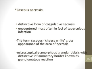 85
*Caseousnecrosis
• distinctive form of coagulative necrosis
• encountered most often in foci of tuberculous
infection
-The term caseous- ‘cheesy white’ gross
appearance of the area of necrosis
-microscopically-amorphous granular debris with
distinctive inflammatory border known as
granulomatous reaction
 