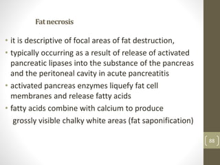 88
Fatnecrosis
• it is descriptive of focal areas of fat destruction,
• typically occurring as a result of release of activated
pancreatic lipases into the substance of the pancreas
and the peritoneal cavity in acute pancreatitis
• activated pancreas enzymes liquefy fat cell
membranes and release fatty acids
• fatty acids combine with calcium to produce
grossly visible chalky white areas (fat saponification)
 