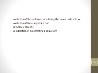 • involution of the endometrium during the menstrual cycle, or
• involution of lactating breast ; or
• pathologic atrophy,
• Cell deletion in proliferating populations
94
 