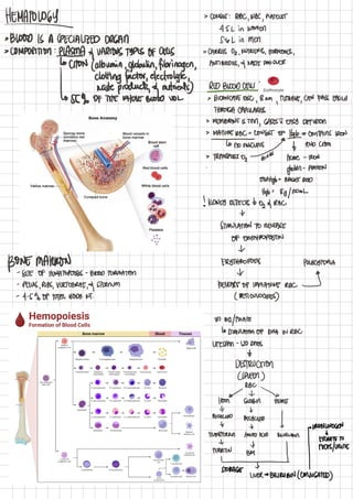 PpppppppppppppPathophysiology%20Hema.pdf