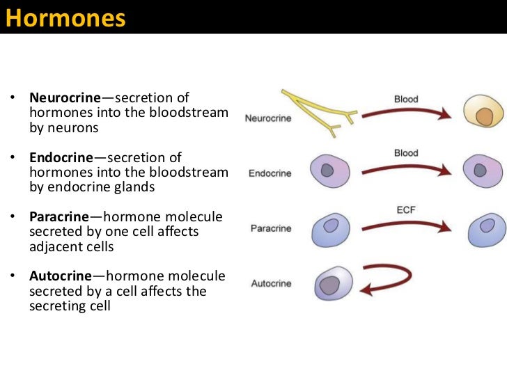 Patho2 chapter39 student