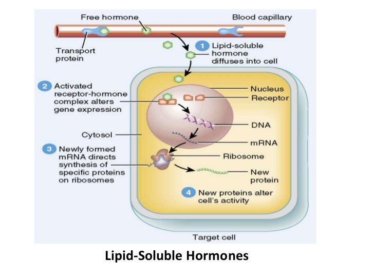 Patho2 chapter39 student