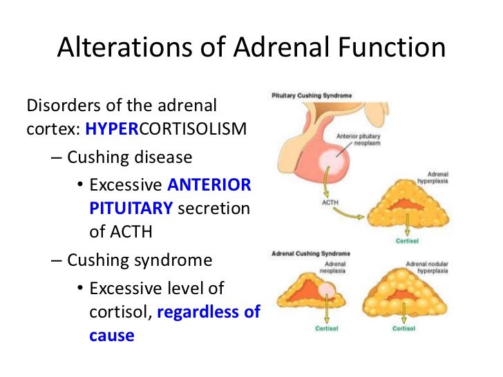 adrenal gland hyperactivity adrenal gland hyperactivity