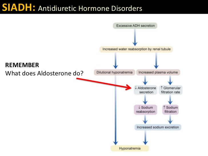 How To Understand Diabetes Insipidus And Siadh Syndrome Of How To Understand Diabetes Insipidus And Siadh Syndrome Of