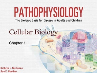 1
Cellular Biology
Chapter 1
 