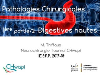 M. Triffaux
Neurochirurgie Tournai CHwapi
I.E.S.P.P. 2017-18
Pathologies Chirurgicales
1ère partie/2 Digestives hautes
 